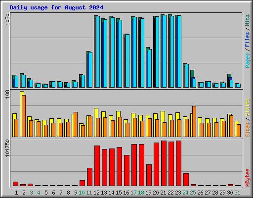 Daily usage for August 2024