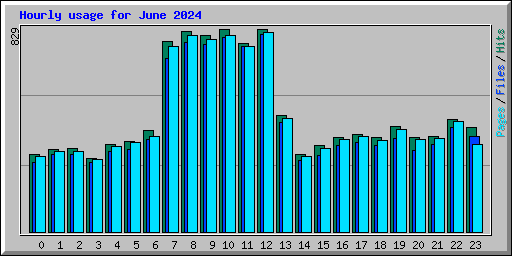 Hourly usage for June 2024