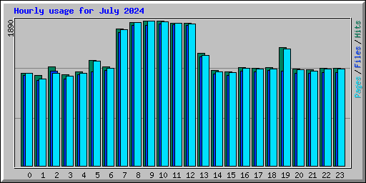 Hourly usage for July 2024