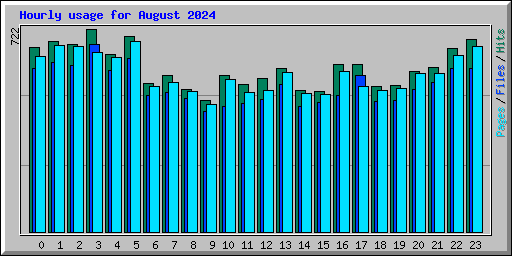 Hourly usage for August 2024