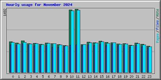 Hourly usage for November 2024