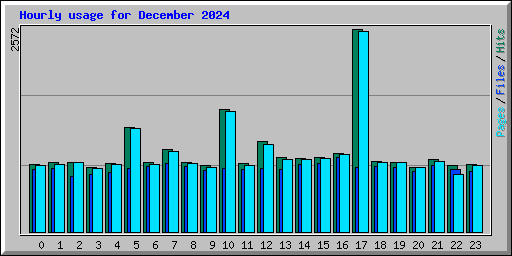Hourly usage for December 2024
