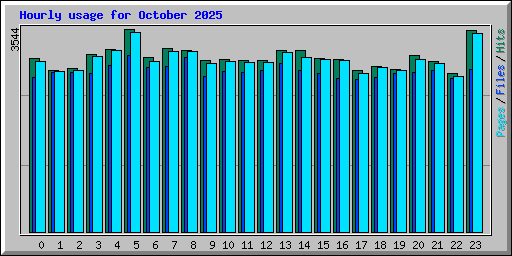 Hourly usage for October 2025