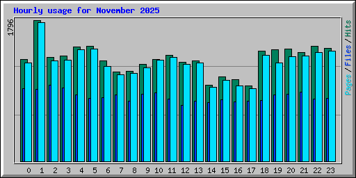 Hourly usage for November 2025