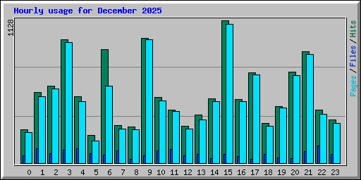 Hourly usage for December 2025