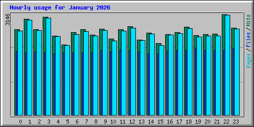 Hourly usage for January 2026
